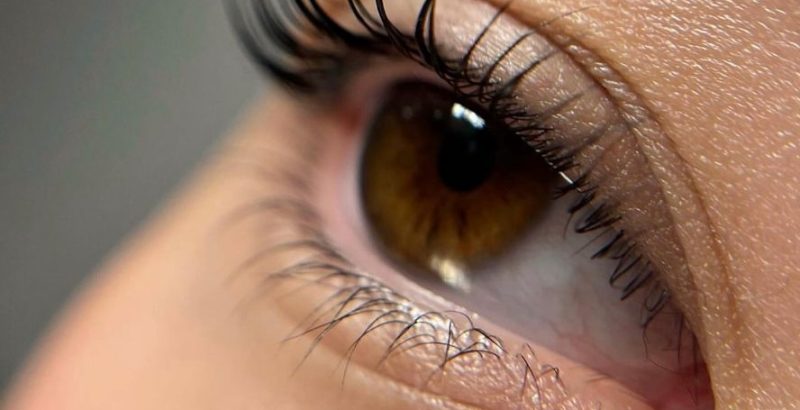 Rangliste - Mit favorit lash lift kit